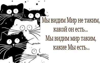 Смешные картинки с днем рождения подруге, бесплатно скачать или отправить