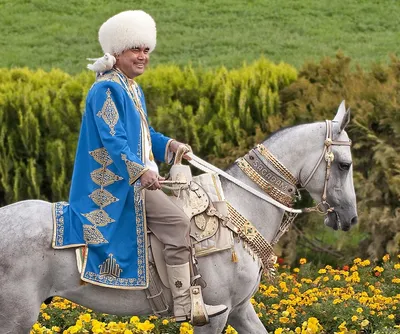 Иллюстрация шарж \"Принц на белом коне\" | Illustrators.ru
