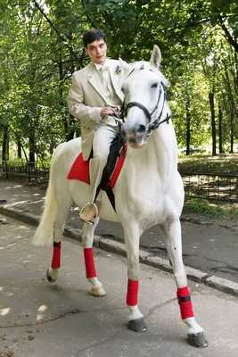 Фантастический принц на коне стоковое фото ©FairytaleDesign 52446905