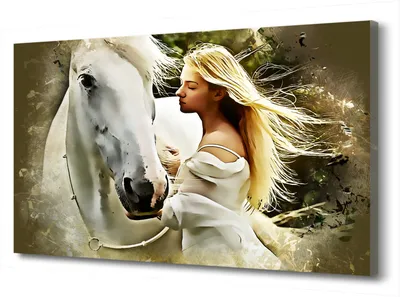 Принц на белом коне картинки - 73 фото