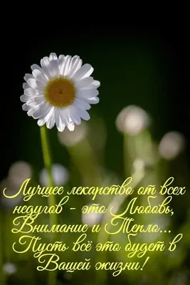 Доброе утро! ❤️Чудо природы - гроздья рябины зимой...❤️Невероятно  красиво!❤️Good morning!❤️ - YouTube