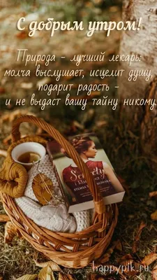 Доброе утро\" красивые картинки природы - скачать бесплатно (75 шт.)