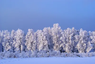 Природа Севера России — Фото №265660