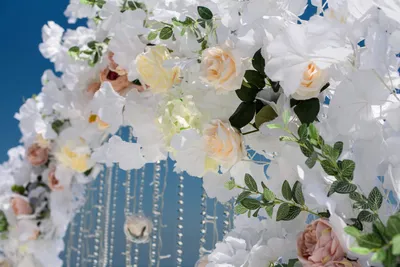 Картина на холсте Пионы красивые цветы эстетика природа (9) 50х70 см -  купить по низкой цене в интернет-магазине OZON (1160669566)