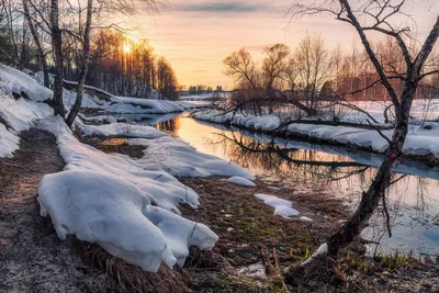 Лес в марте месяце. / Лес в марте месяце. / Фотография на PhotoGeek.ru