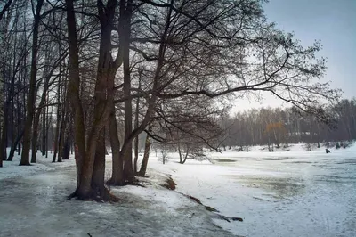 Ранняя весна, таяние снега и льда. Природа в марте. Сцена озеро и лес  сельская Стоковое Изображение - изображение насчитывающей снежок, европа:  212027251