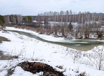 Природа Байкала | Тёплая Речка, конец марта