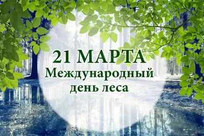 Вильфанд рассказал, какая погода будет в марте в центральной части России |  Природа | Общество | Аргументы и Факты