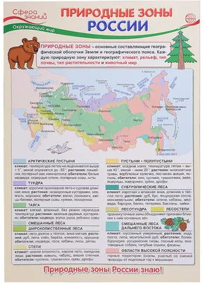 Россия. Природные зоны - Россия - Каталог | Каталог векторных карт