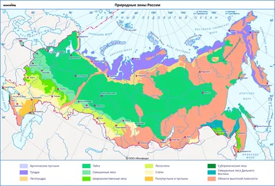Природные зоны России и их рекреационный потенциал