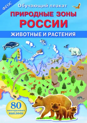 Перечислите природные зоны России.