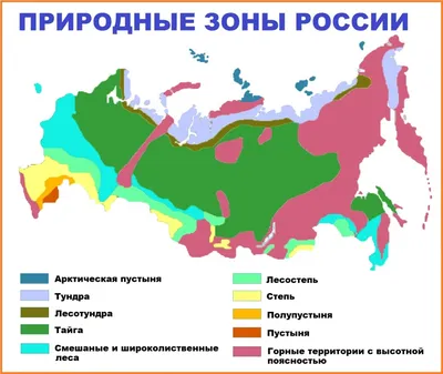 Увеличиная карта природных зон России.
