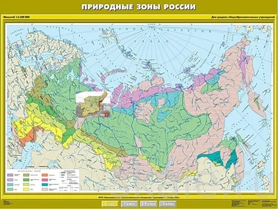 Природные зоны России окружающий мир 4 класс - YouTube