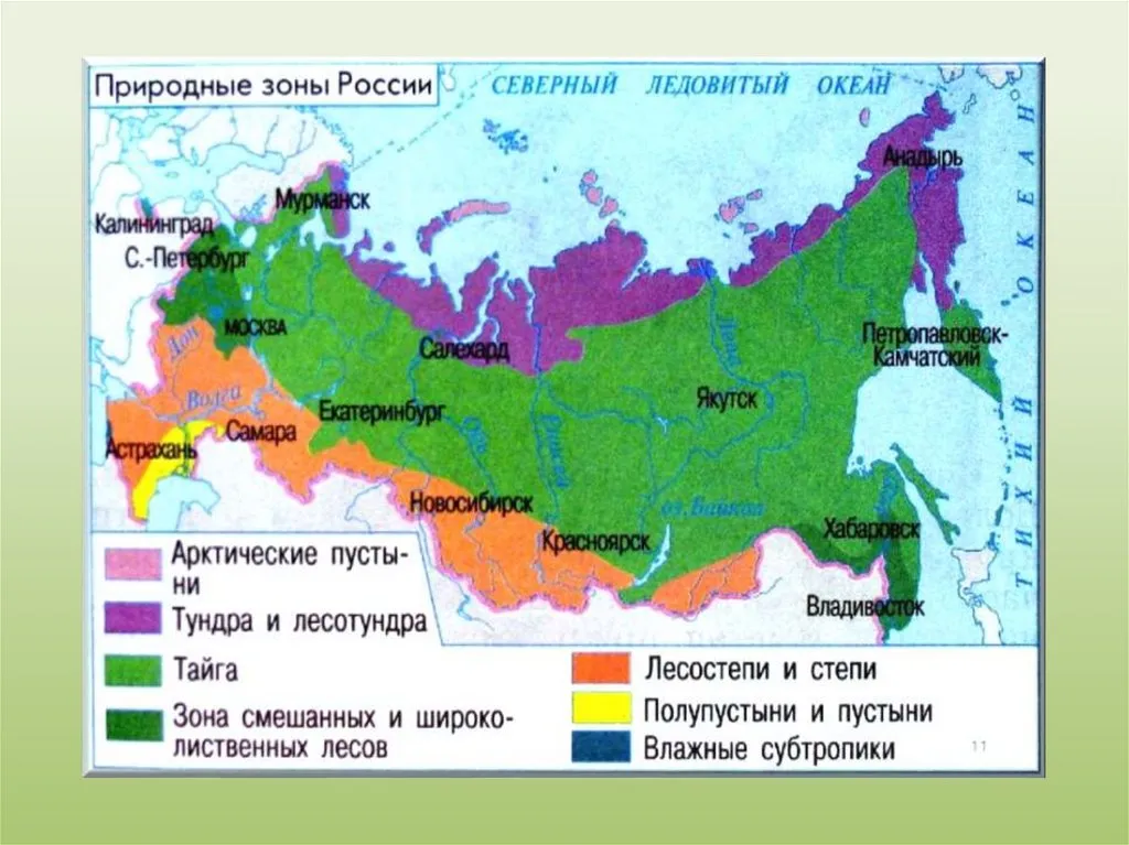 Карта природные зоны России 4 класс окружающий мир природные зоны. Географическая карта России с природными зонами. Карта природных зон России 8 класс география. Карта природных зон России субтропические леса. Какая природная зона занимает большую часть северного