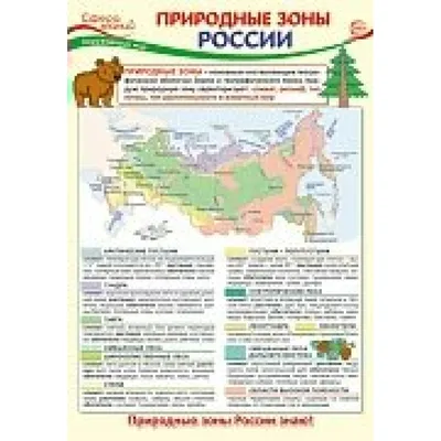 Природные зоны России - презентация онлайн