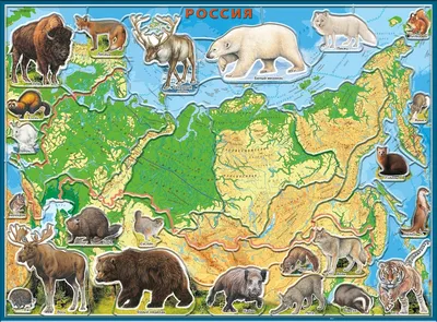 Природные зоны России. Часть 2 | ВКонтакте