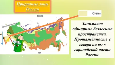 Личная страница учителя географии: природные зоны России