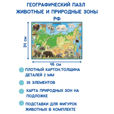 Книга СТРЕКОЗА Обучающий плакат Природные зоны России Животные и растения  купить по цене 212 ₽ в интернет-магазине Детский мир