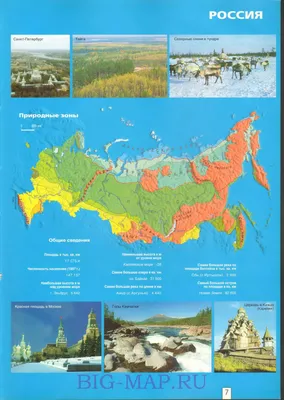 Карта природных зон России подробная в хорошем качестве