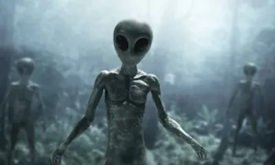 Как выглядят и устроены инопланетяне в фильмам - различные виды пришельцев  в кино | Канобу