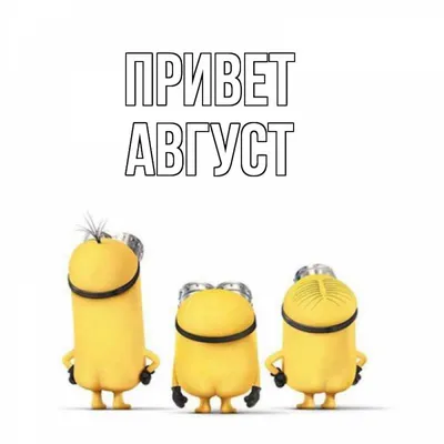 Привет август 😉#привет #август #лето | TikTok