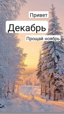 Hello december Стоковые фотографии, картинки, все без лицензионных  отчислений - Envato Elements