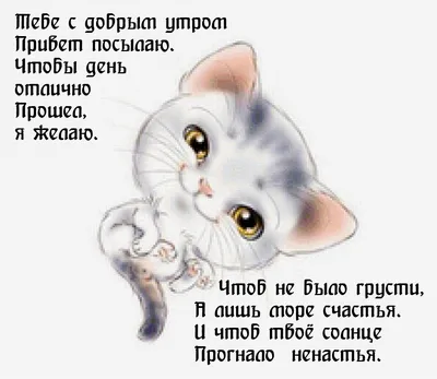 Жастардын Болашагы Енди Кандай Максатта Болар Екен. - Всем своим друзьям  привет с добрым утром. | Facebook