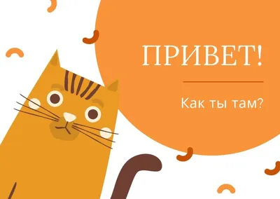 Их типичное приветствие Привет. «Привееетик :3» «Здарова, ублюдки» «Добрый  вечер» или «Добры / Baldur's Gate 3 (Балдур Гейт 3) :: Baldur's Gate ::  Мемы (Мемосы, мемасы, мемосики, мемесы) :: приколы для даунов ::