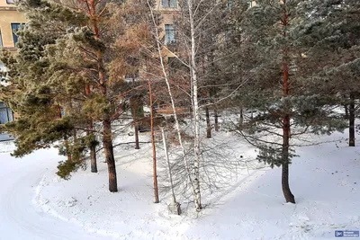 Привет Февраль ❄️ Доброе утро ☕ | Утренние сообщения, Открытки, Сообщения