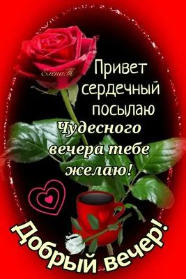 Вечерний привет! ☕🌹 | Милые открытки, Открытки, Летние фотографии природы