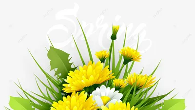 привет весна с надписью рукописные цветы и ветви PNG , здравствуй, весна,  весной здесь PNG картинки и пнг рисунок для бесплатной загрузки
