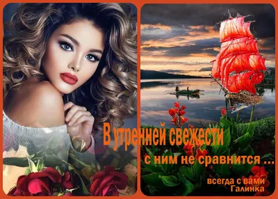 хорошегонастроения #привет #всем | TikTok