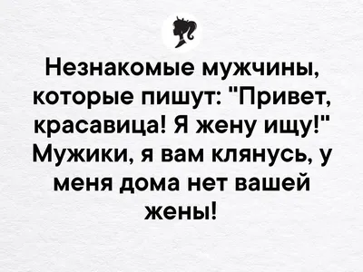 Пламенный привет из дома нам прислала красавица Шелдон! 🐈 Со слов её  семьи, малышка - не просто умная, но и очень контактная, общительная … |  Instagram