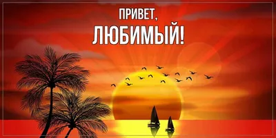 Открытка для любимых и родных Любимый Привет. Открытки на каждый день с  пожеланиями для родственников.