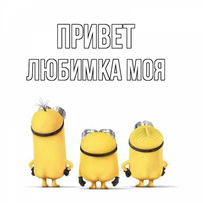 Ответы Mail.ru: Привет любимка, вы тоже так что б не спалтся при своих  любимках?