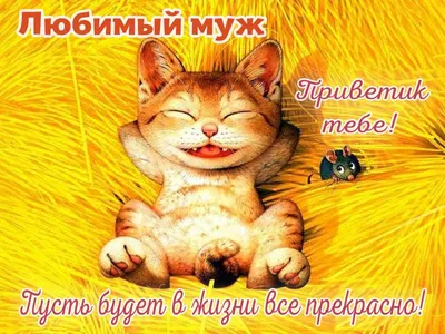 Муж! Привет! Красивая открытка для Мужа! Прикольная открытка. Анимация с  пингвинами! Милые пингвинята!