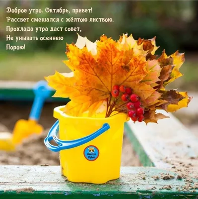 осень, падающий баннер с приветствием привет октябрь, золотое поле с  листьями и ягодами Стоковое Фото - изображение насчитывающей естественно,  фраза: 157281508