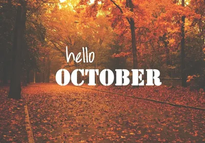 прощай 🖐️ октябрь 🍁🍂 привет ноябрь 🍁🍂🌤️🌦️🌨️🌧️☔❄️будь хорошим ... |  TikTok