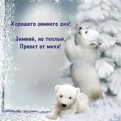 Алина Г. on X: \"@Sergej70360120 Серёжа! Привет! Доброе утро! 🤗 Удачного,  благополучного дня тебе, зимней бодрости 😂 и хорошего настроения! ❄️☕️☃️  https://t.co/YNvtKFVdNG\" / X