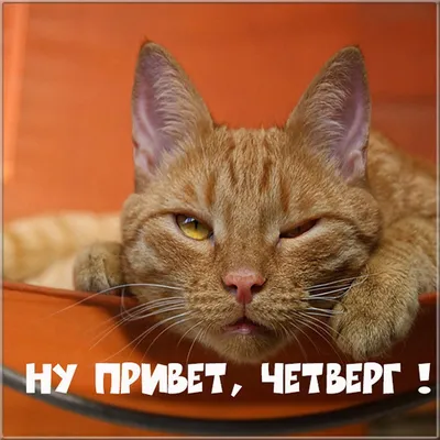 Ищу тебя Анапа Знакомства | ВКонтакте
