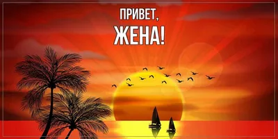 Открытка для любимых и родных Жена Привет. Открытки на каждый день с  пожеланиями для родственников.