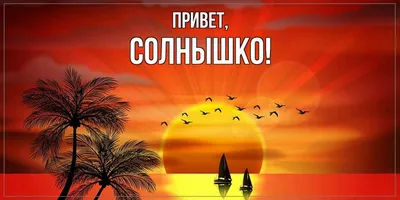 Открытка для любимых и родных солнышко Привет. Открытки на каждый день с  пожеланиями для родственников.