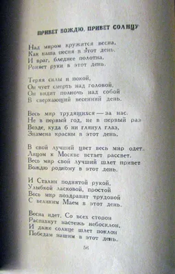 Привет, солнце - рисованной надписи фразу, изолированных на белом плакаты  на стену • плакаты фраза, цитата, Алло | myloview.ru