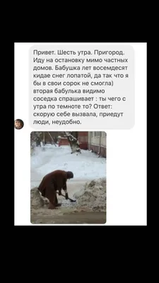 Ответы Mail.ru: Всем Привет!!! Ваши действия, если соседка накаркает в  дорогу, да ещё её и перебежит чёрная кошка???.)))