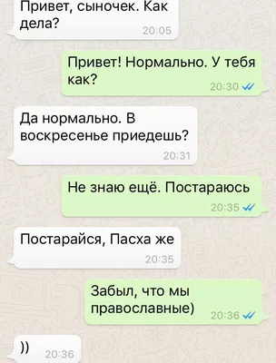 Привет, мам. Все нормально. Что есть покушать? Привет, сынок. Сегодня еле  отстирала белые пятна ма / комиксы с мемами :: рожи из комиксов / смешные  картинки и другие приколы: комиксы, гиф анимация,