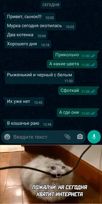 СМСник on X: \"https://t.co/04pQ3Y7Oy1\" / X