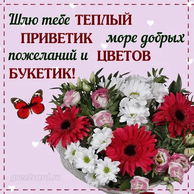 Цветы в деревянном ящике «Привет» купить за 3643 рублей в Екатеринбурге