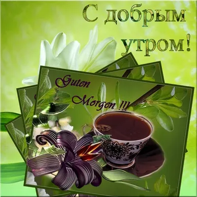 Доброе утро, Привет! 🌼☕🌸🌸🌸 | Доброе утро