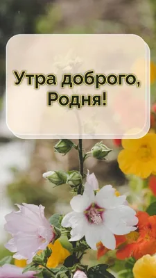 Привет, мир доброе утро просыпайтесь сегодня наслаждайтесь жизнью любовь  Стоковое Изображение - изображение насчитывающей фраза, печать: 162075667