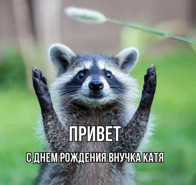 Привет Внучка Картинки фотографии